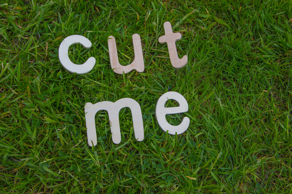 Auf dem Bild steht in Holzbuchstaben "Cut me" die im Rasen liegen, und darauf hinweisen sollen, dass der Rasen mit einem Rasen-Roboter geschnitten werden soll.