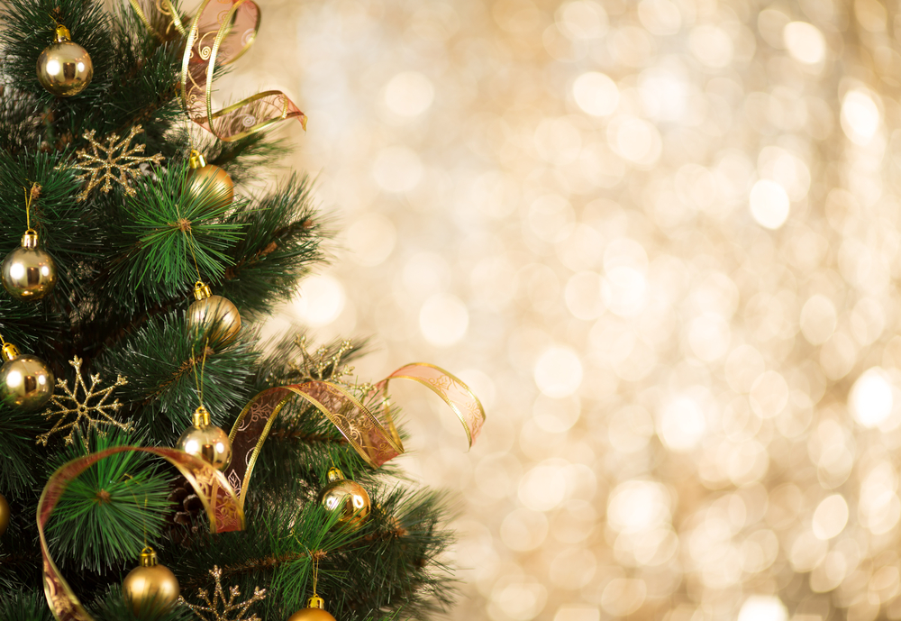 Christbaum, Forhe Weihnachten.