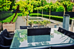 Das Bild zeigt einen modernen Garten.