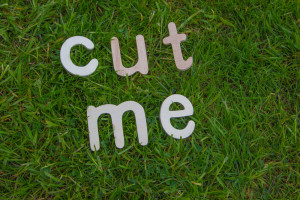Auf dem Bild steht in Holzbuchstaben "Cut me" die im Rasen liegen, und darauf hinweisen sollen, dass der Rasen mit einem Rasen-Roboter geschnitten werden soll.