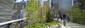 Der Highline Park - grüner Laufsteg New Yorks