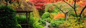 Gartengestaltung auf höchsten Niveau