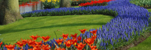 Farbtipps Garten